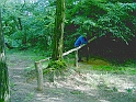 20100602 002